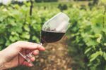 Time for wine