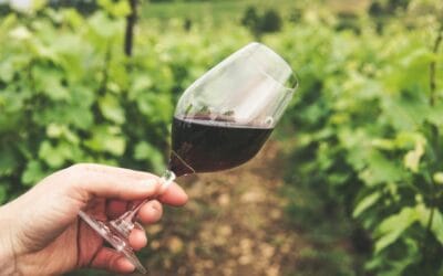 Time for wine